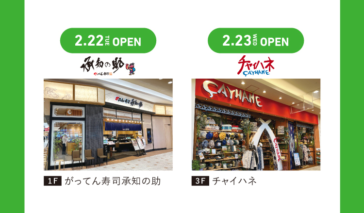 リニューアルのお店4
